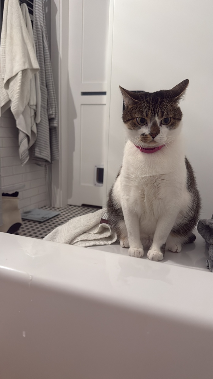 ���� ����