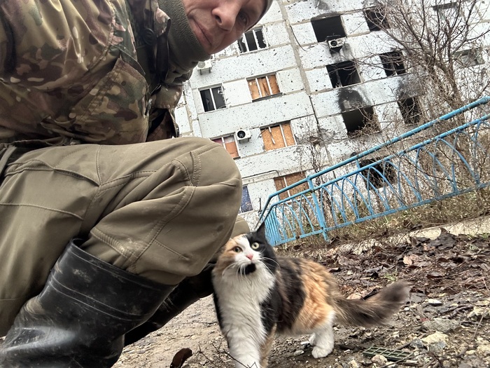 ��� ������������� ������ ������ �� ��������