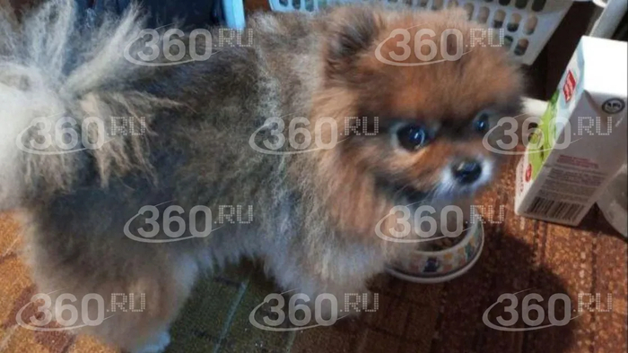 � ������ �������� ���������� ������ �����. �������� ��� �����������