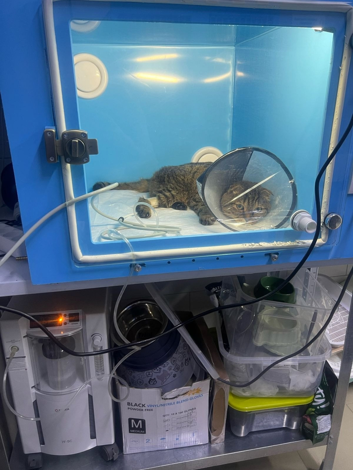 ��� ����� ����..