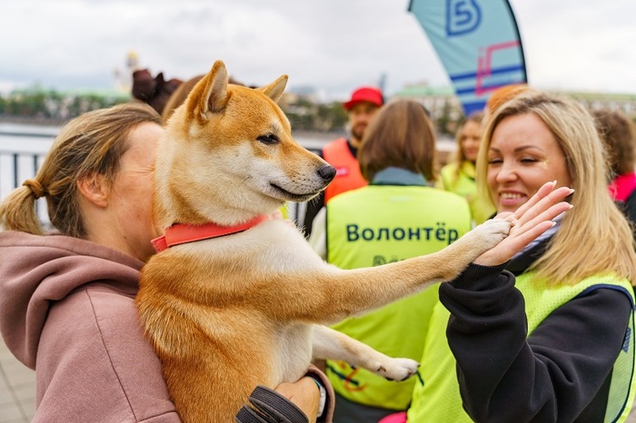 5 ����. ��������. ����: �������� �������.