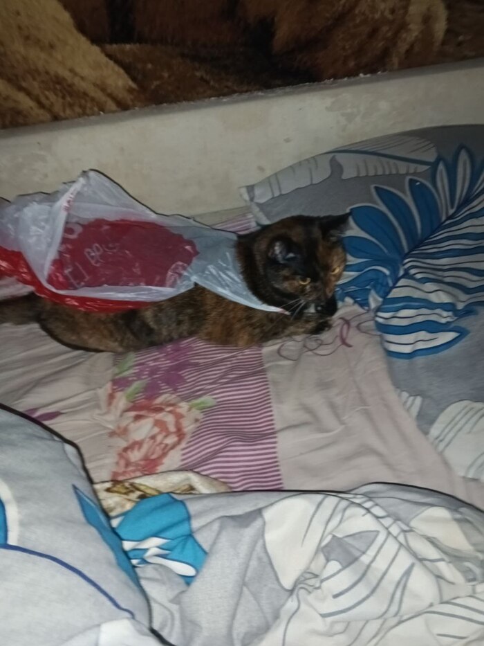 ����������� ���� ���� ���������� - "� ������������������!"