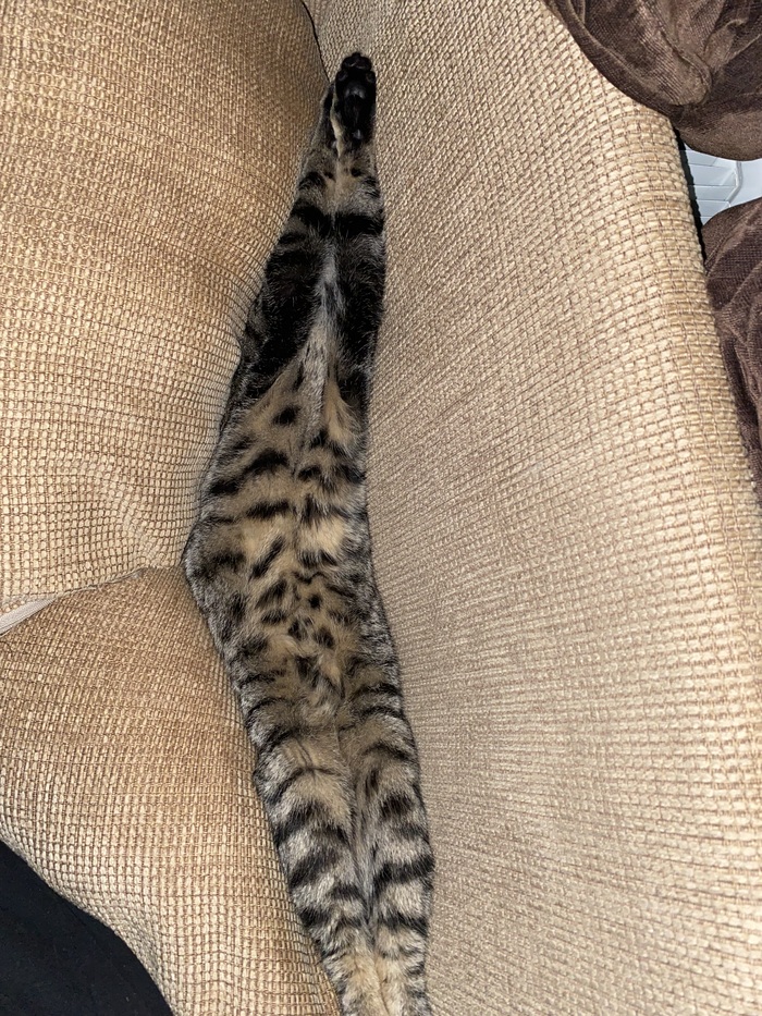 ��� ������ ���������� ���� � ���� ����