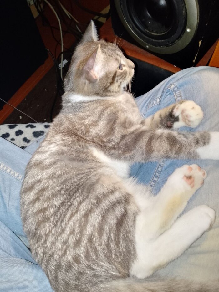 ����� �����)