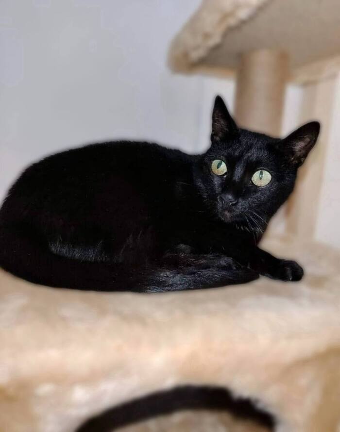 ����������� ������� �������� ������� � ����!