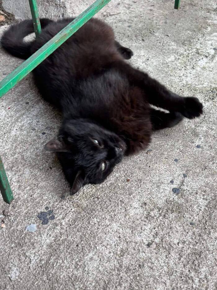 ����������� ������� �������� ������� � ����!