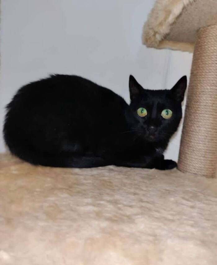 ����������� ������� �������� ������� � ����!