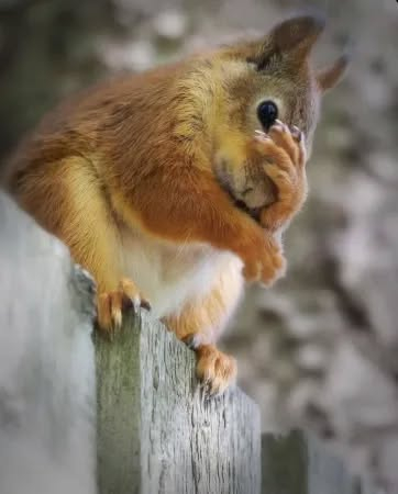 � �������� ������ ����