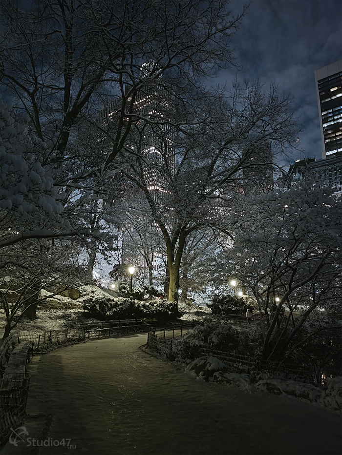 Central Park / New York