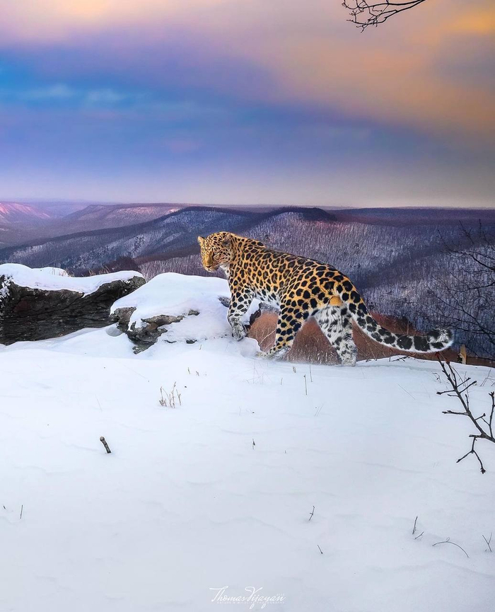 ����<a href="https://pikabu.ru/story/kogda_tyi_krasavets__i_znaesh_yeto_13535046?u=https%3A%2F%2Ft.me%2Famurleo_land%2F7526&t=%D0%BE%D1%82%D1%81%D1%8E%D0%B4%D0%B0&h=bfcb3c8567d348f9fb54ec1f06d9acc2f1e8be28" title="https://t.me/amurleo_land/7526" target="_blank" rel="nofollow noopener"> ������</a>