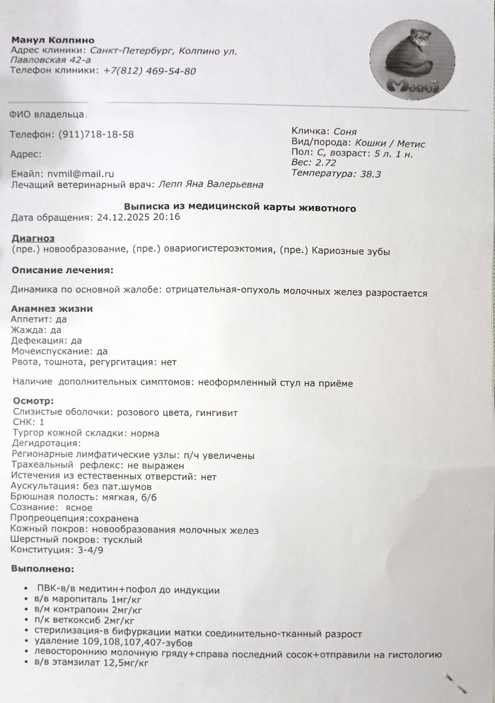 ������� ����� ��������