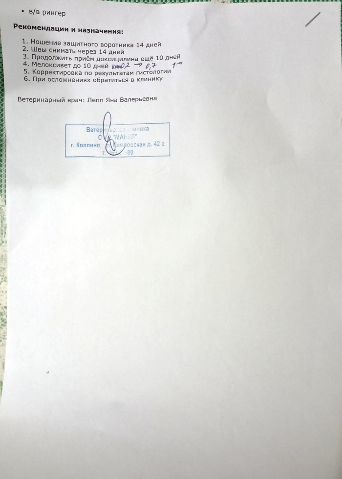 �������� ����������������� ���� �������