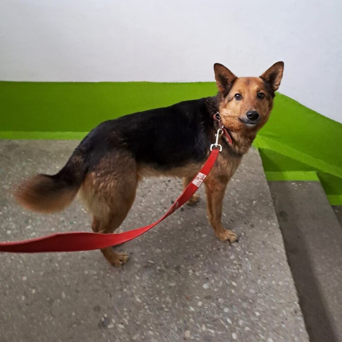 ����� �� ���� ������ �� ������� ��� ������ ������� � ��������