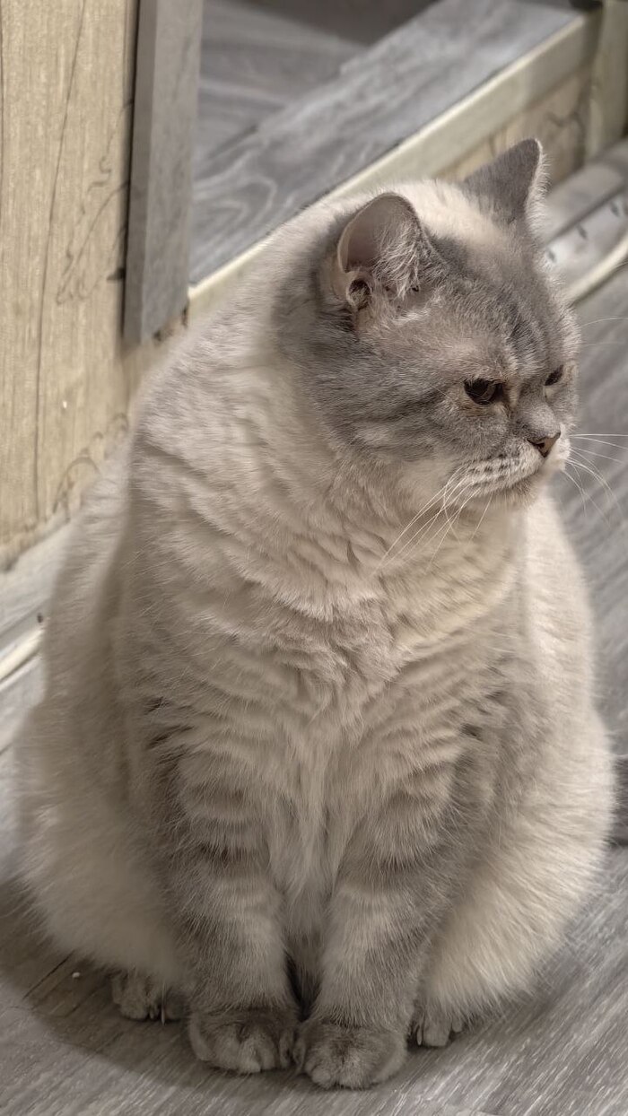 Фаина. Разменяла 16-й год. Бабусь мой