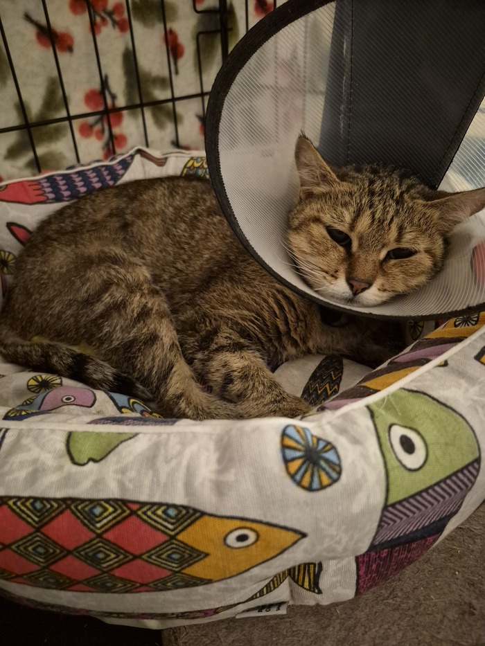 ���� ����� ��������, ������� �������� � ����.