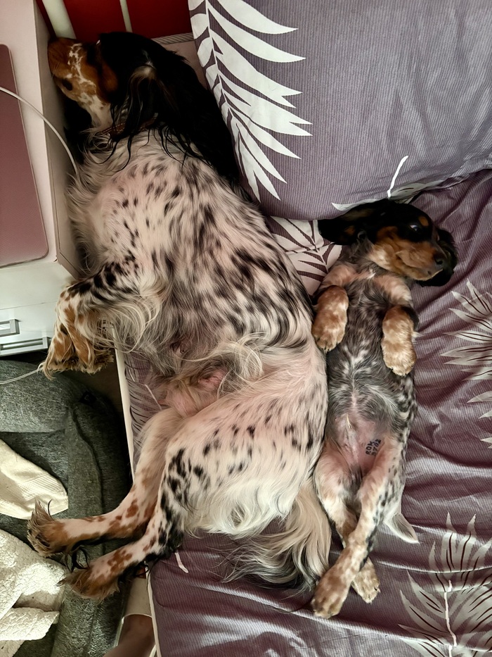 ���� ������ ���, ��� �� ��� ����� 