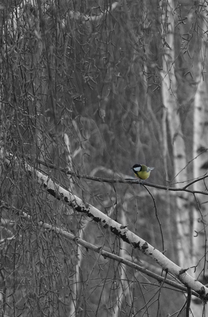 ������ ��������� �����