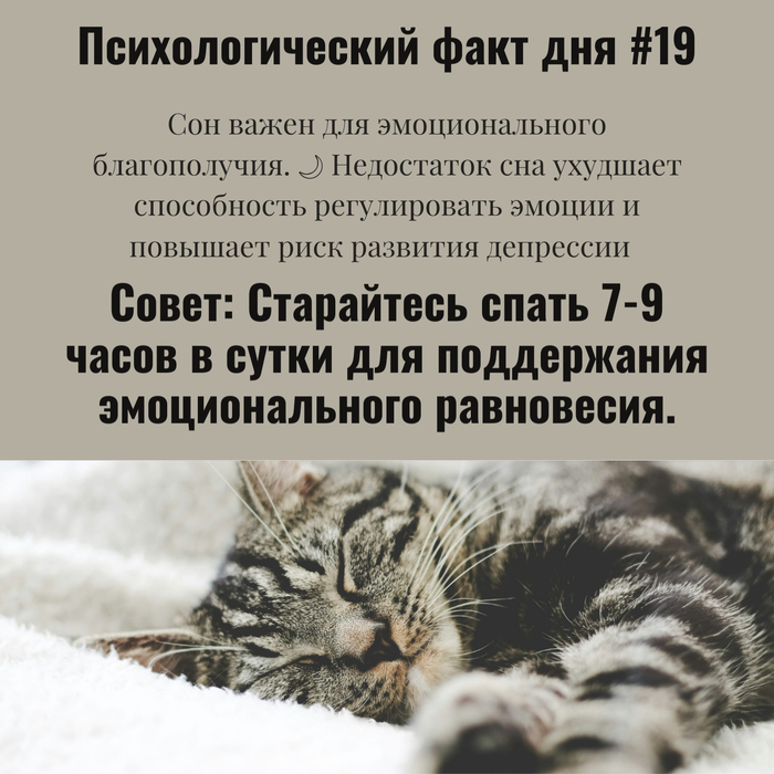 ��������������� ���� ��� #19