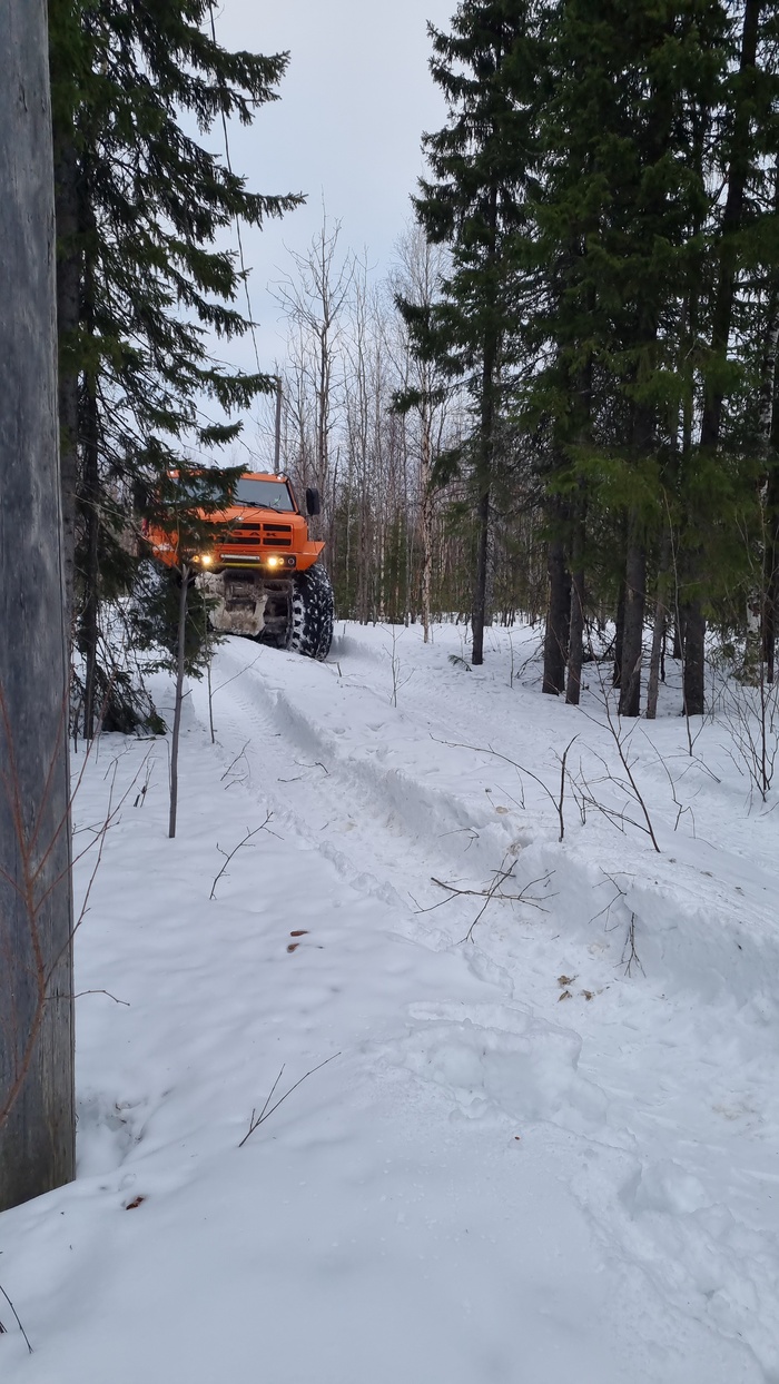 ����� ������ ������ ����