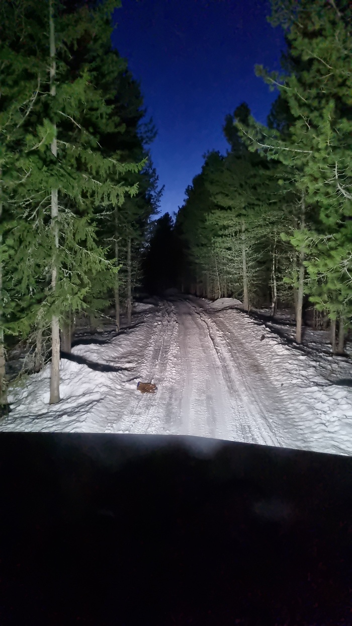 ����� ���������� ������� ��� �������