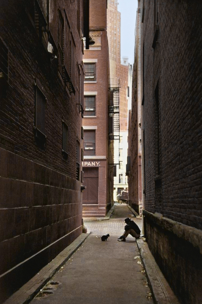 ��������: ���� ������-�������