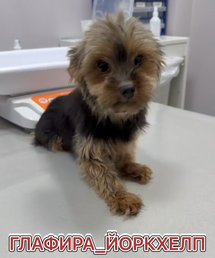 ������� ��������������!!!��������!