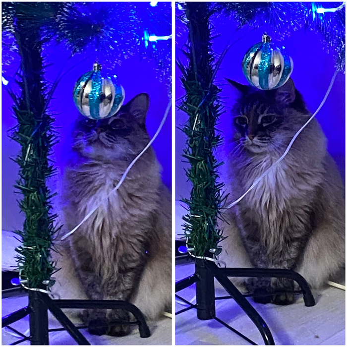 �� ���� ������� ����