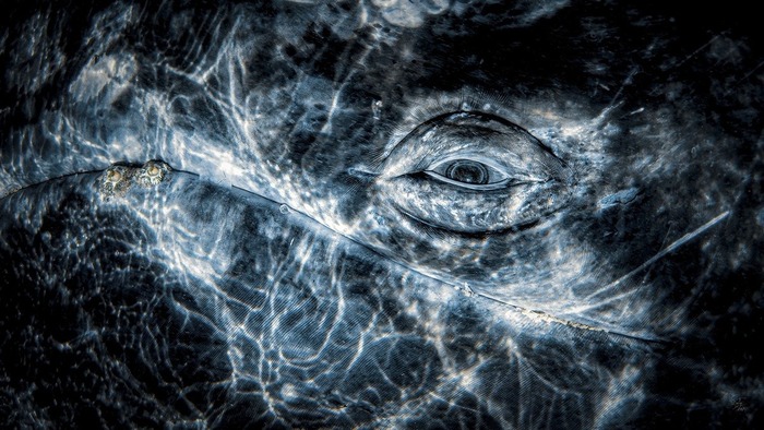 � Rafael Fernandez Caballero