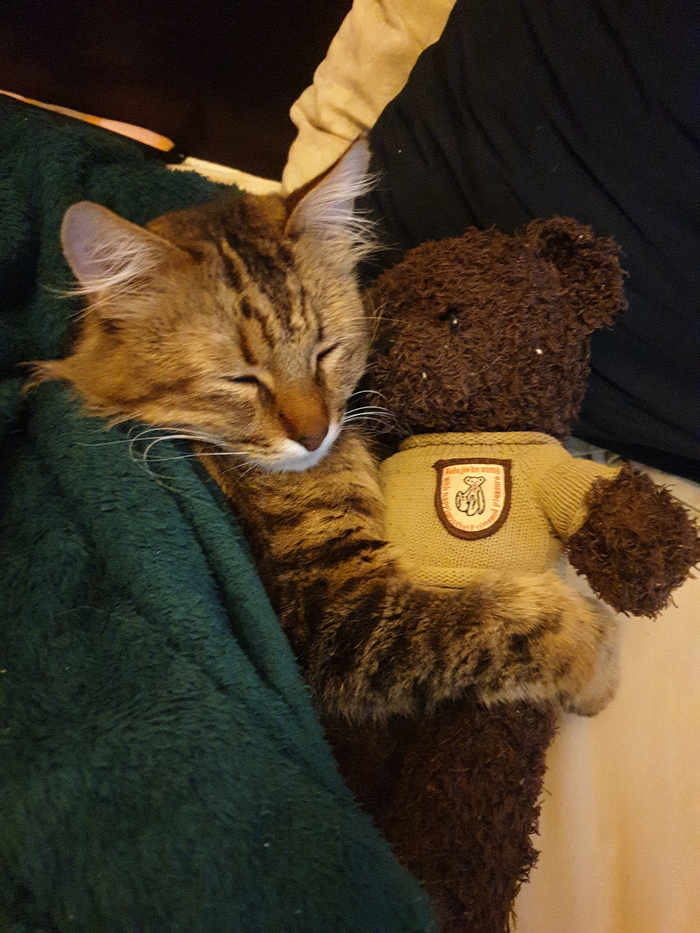 ���� ������ ������� ������ ���� ����, �� �������� ���: