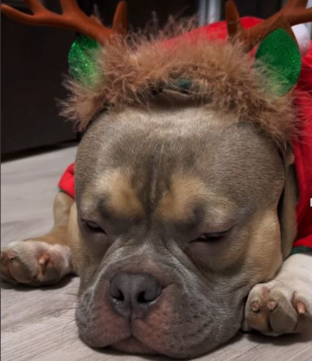 ����� �� � ����������