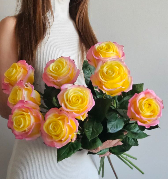 ���� �� ���������.