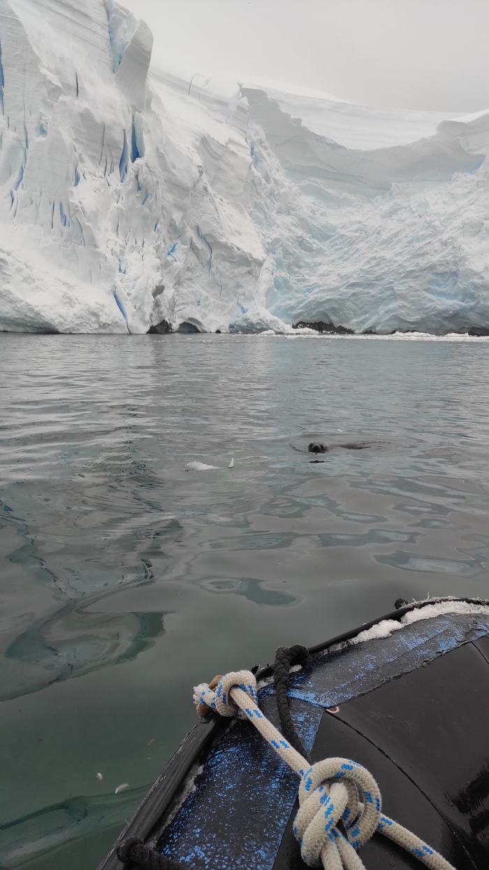 ������ ������ �����?