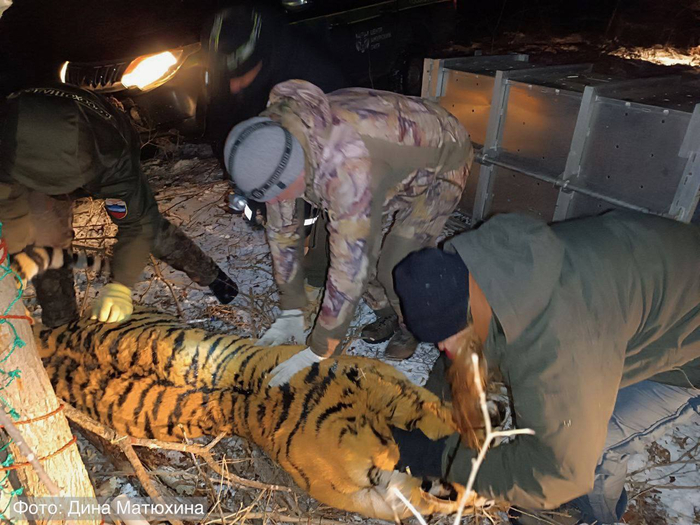 ���������� ������ �������� ������ �������� � ��������� ��������� ���������� ��������� � ����������� �������� ��� ��������������, ��������� �������������� �������, ������������� ��� ���� ������ ��� ������� ���������