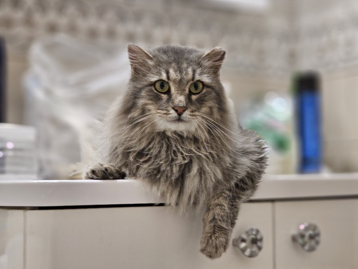 ��� ��������� �� ����� ���� ���