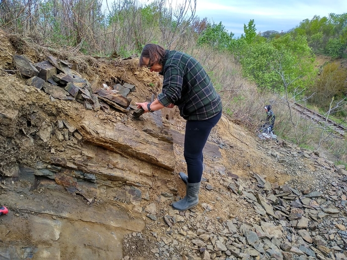 �. �. ��������� �� ��������������� ������� ������ (����������� �����, ������ ���). ���� �. �. �������.