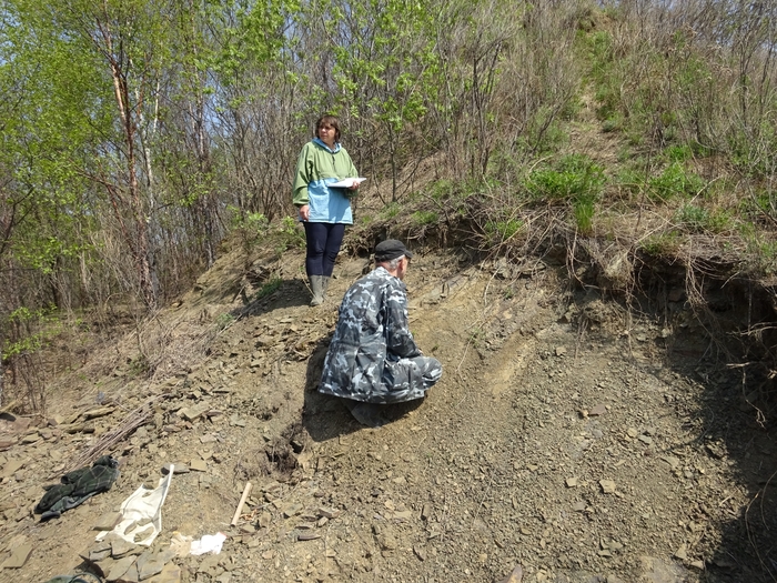 �. �. ��������� � �. �. ����������� �� ��������������� ������� ������ (����������� �����, ������ ���). ���� �. �. �������.