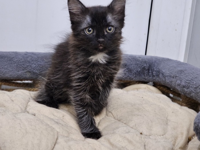 ������ ������� ���� ��� � ������������