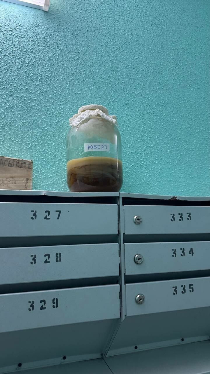 ����� �������