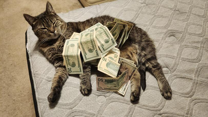 ���������� ������