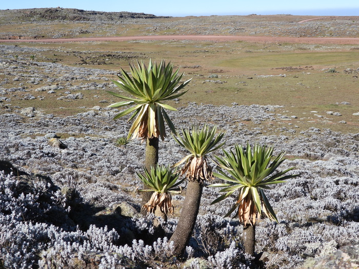 ������� ���������� � ����� ����, �������. ���� �. ����������.