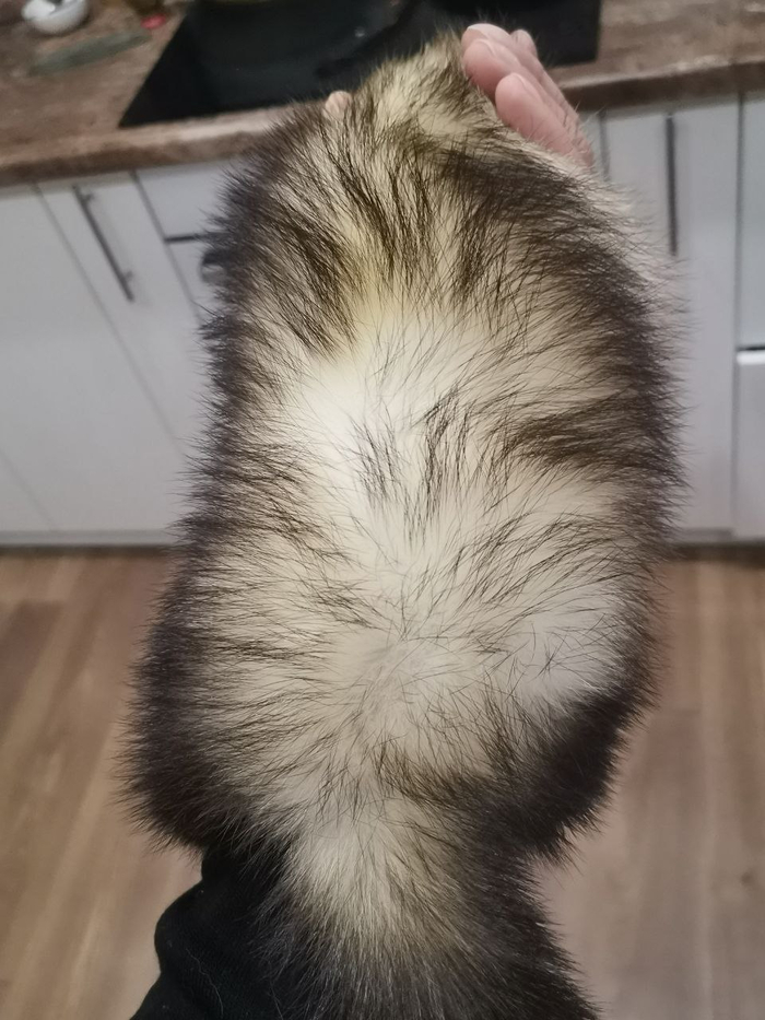 ������ � ���� �������� �����