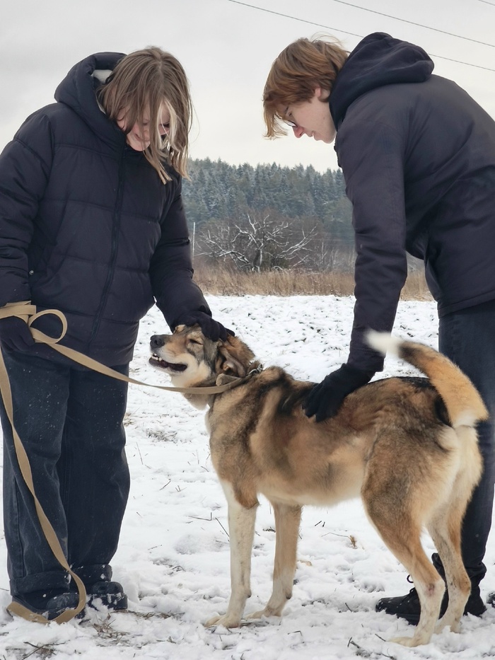 ����� �� ������