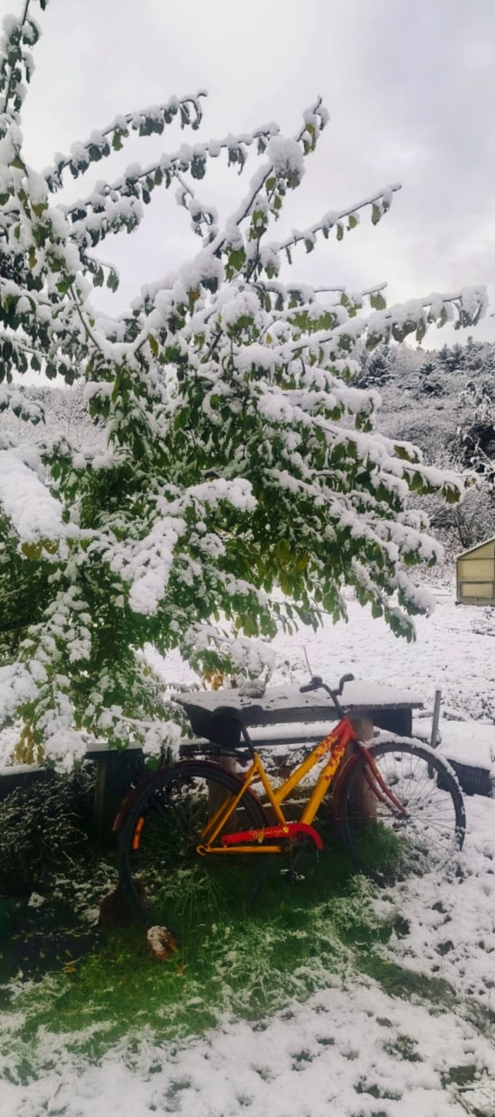 Вспоминая октябрь