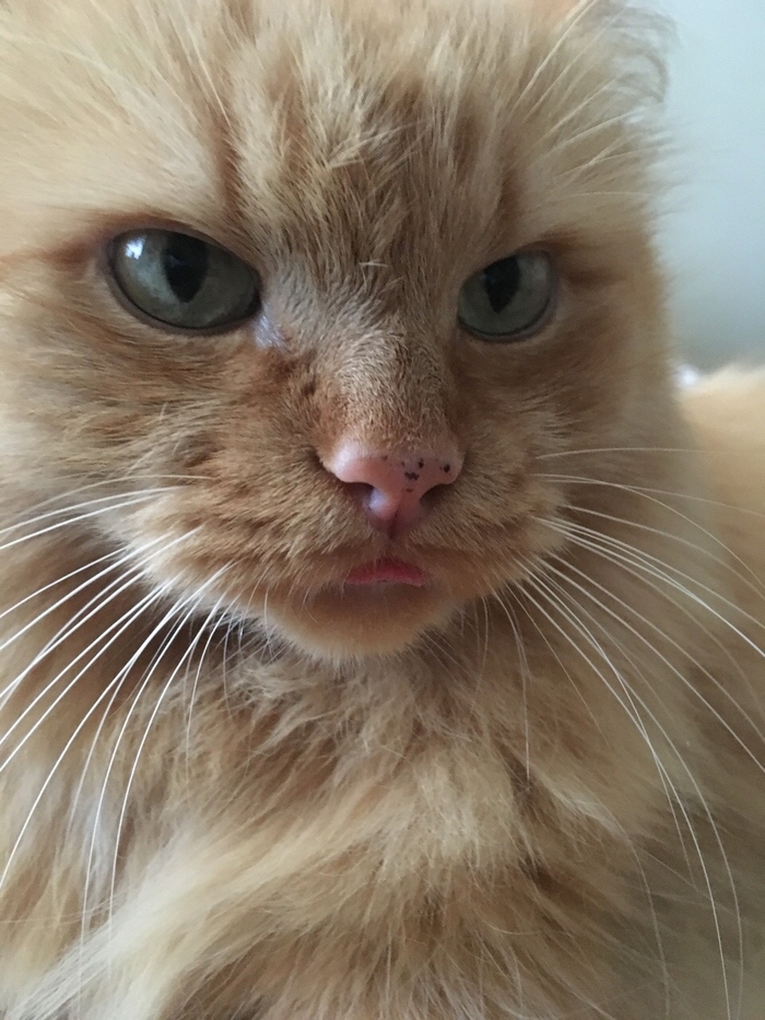 �������!