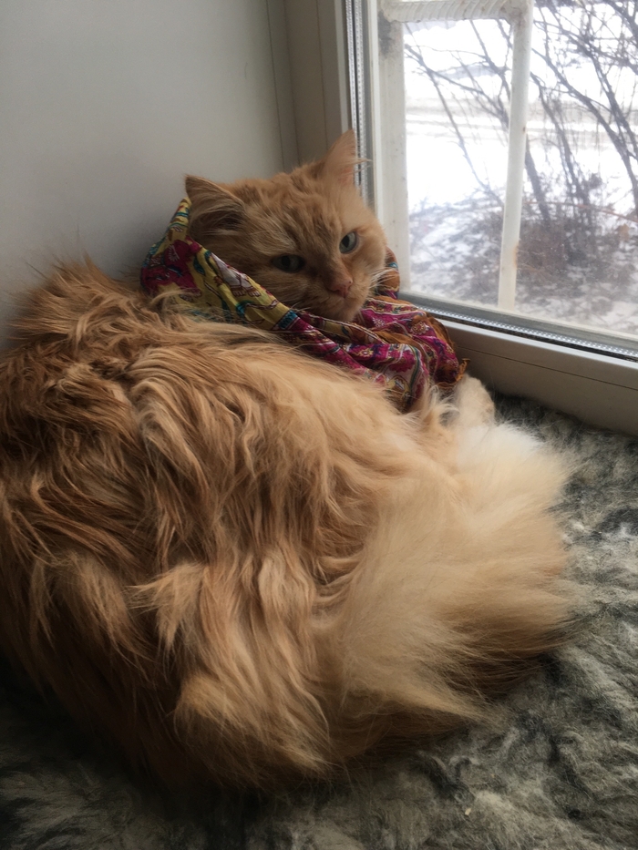 �������!