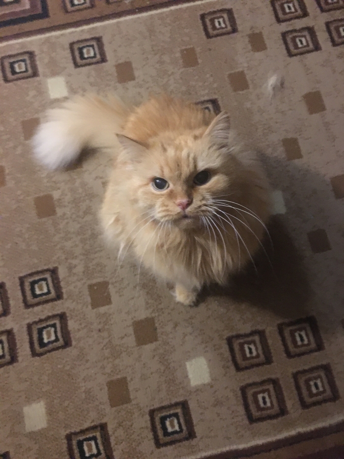 �������!