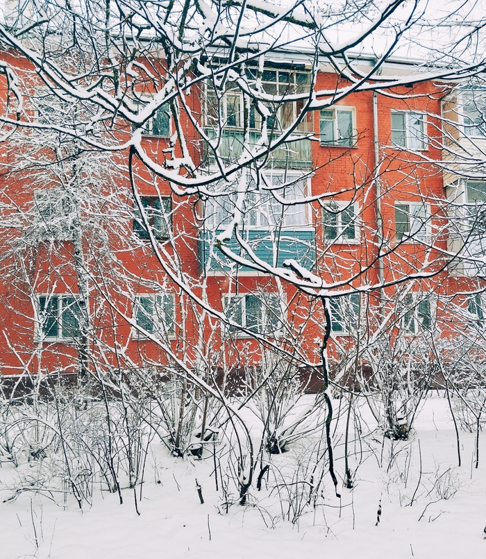 ������ ����������