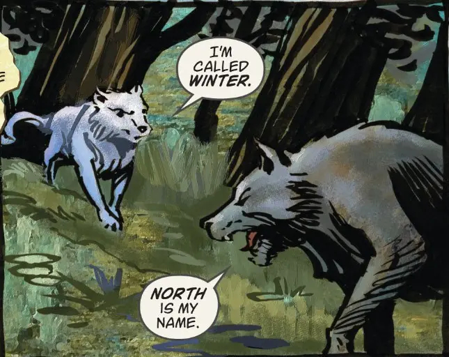 ���� � �������� �����