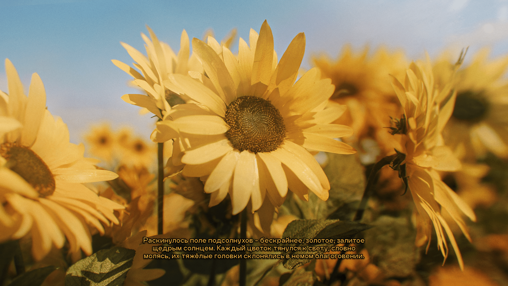 The game I'm making instead of therapy. Meet Mistbound (My Game Development Debut) - Indie game, Single, Visual novel, Инди, Gamedev, Point and click, Looking for a game, Longpost