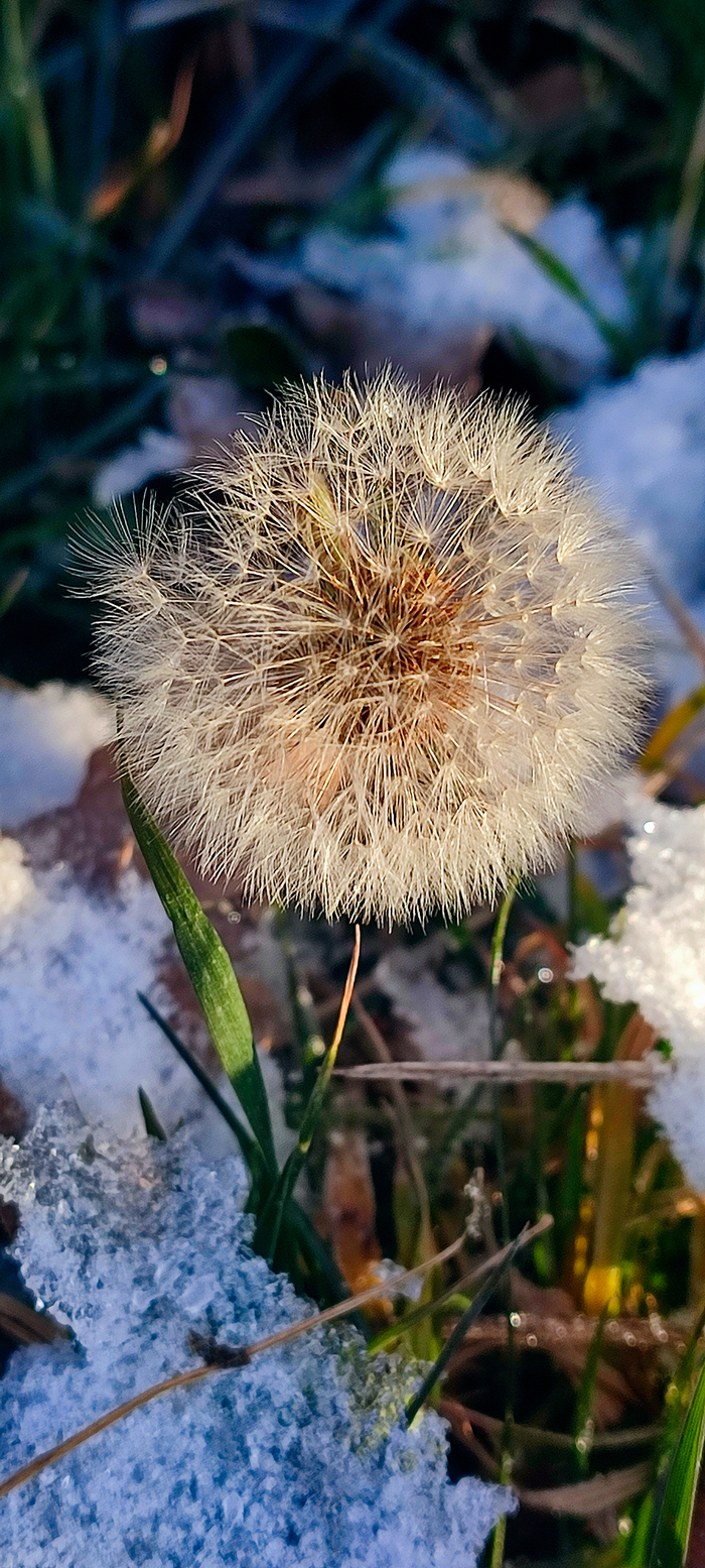 �������������� ��������� :)